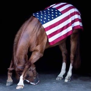 Meet your Posher, Staci